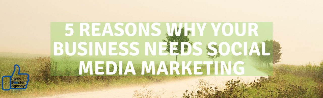 5 REASONS WHY YOUR BUSINESS NEEDS SOCIAL MEDIA MARKETING
