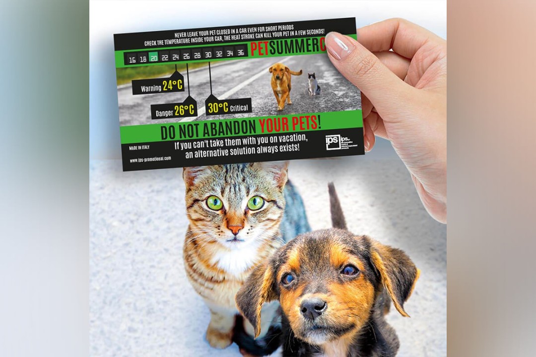 Pet Summer Card: the perfect gadget for an awareness campaign against animal  abandonment