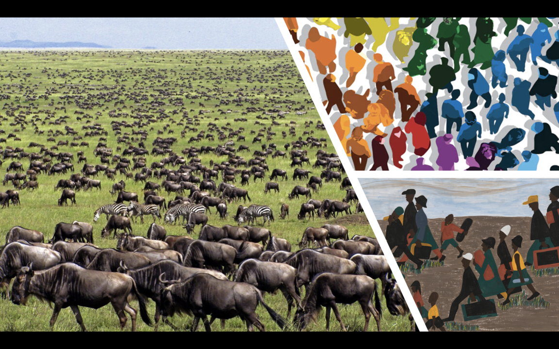 Similarities Among the Migrations of Animals, Humans and Workforce