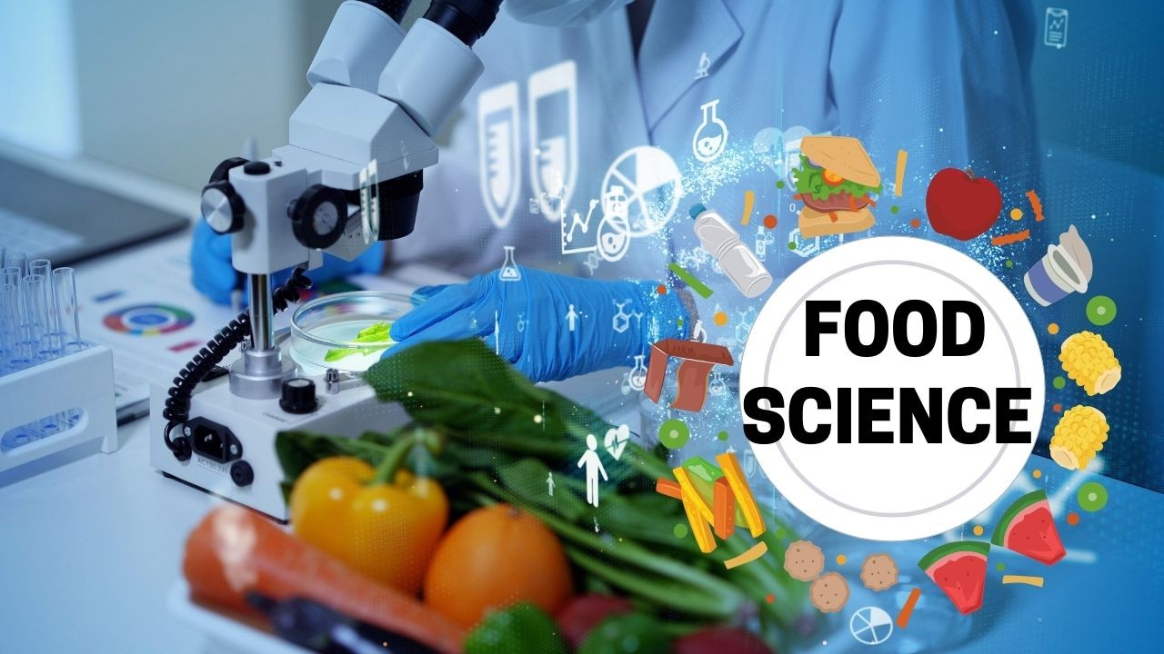 How A Career In Food Science And Technology Can Change Your Life?