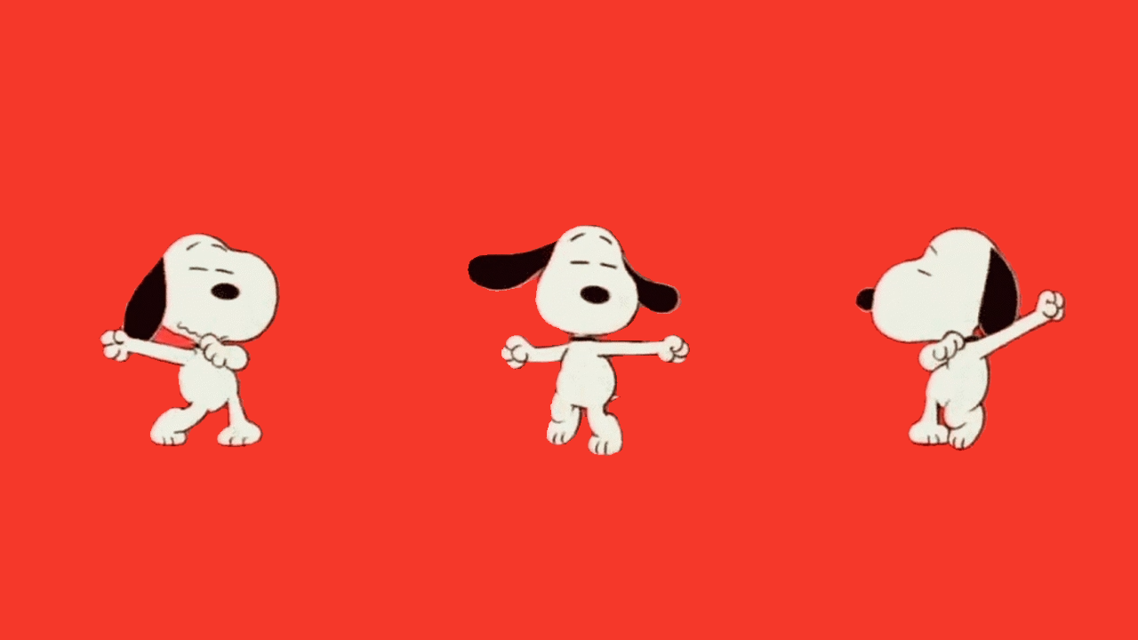 Snoopy Chop Croc - Remixing Your Life