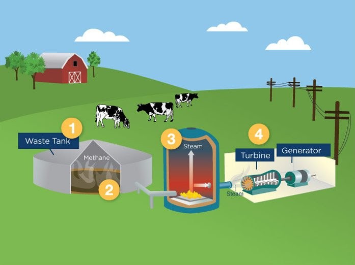 Biomass and Biogas; what's the difference?
