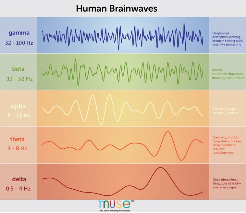 The benefits of the Theta brainwave 
