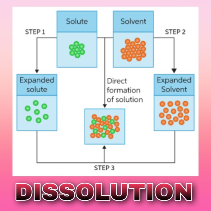 DISSOLUTION DISSOLUTION