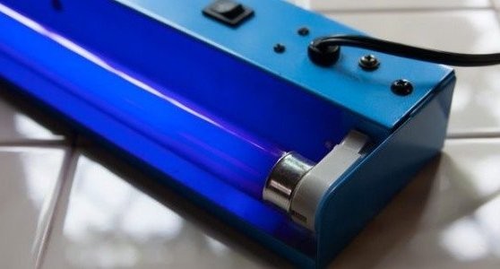 Can You Use a UV Lamp to Kill Mold?