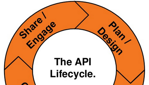 The Lifecycle of Application Programming Interfaces (API)