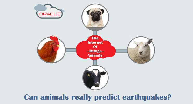 Can Animals Predict Earthquakes? Using the IoT to Find Out