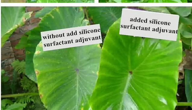 Agricultural Adjuvants, Spreader, Sticker, Surfactant, Organic Silicone