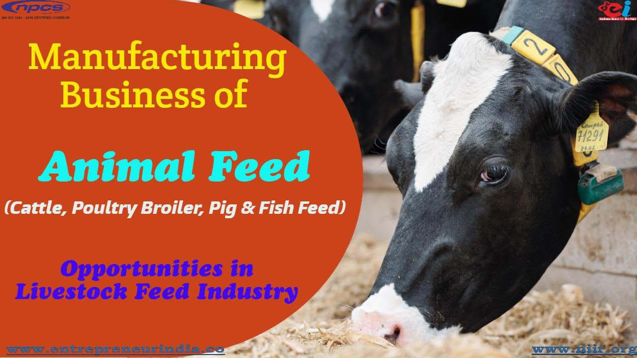 Manufacturing Business of Animal Feed (Cattle, Poultry Broiler, Pig & Fish  Feed). Opportunities in Livestock Feed Industry.