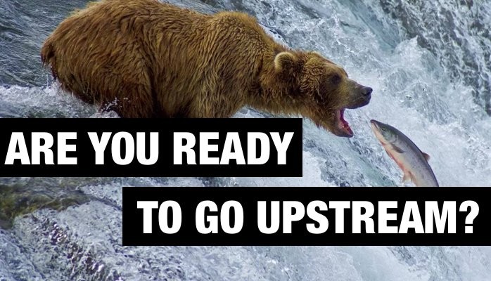 Are You Ready To Go Upstream?