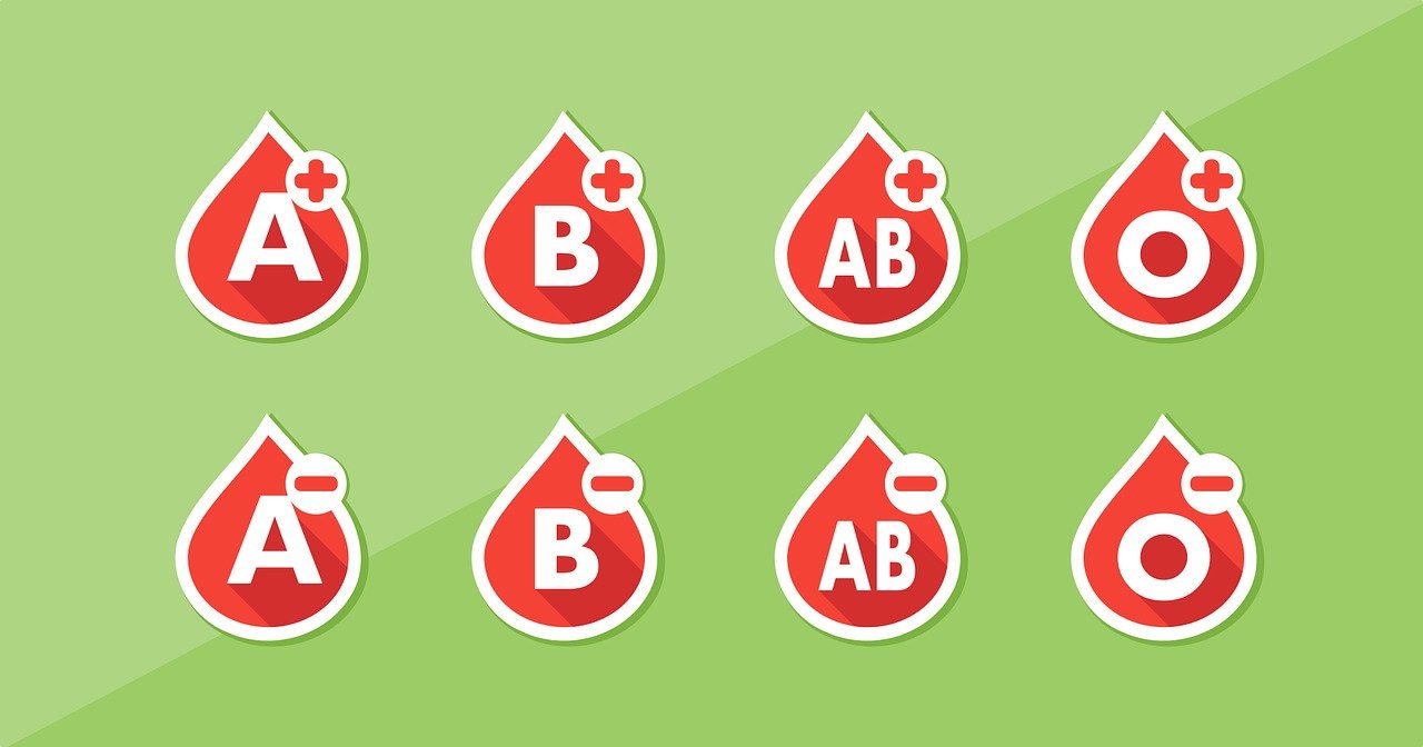 Best Diet for A, AB, B, O Blood Type