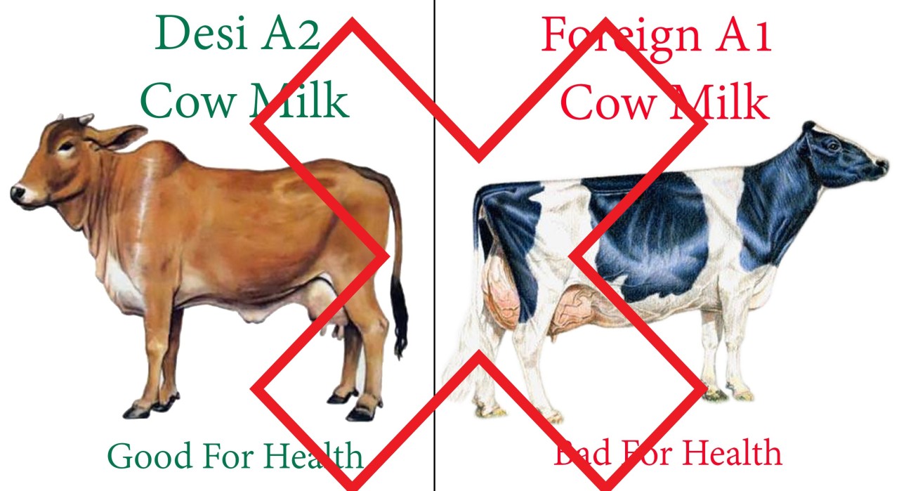 mozaïek niemand onderhoud The A2 milk fad and why its irrelevant in India