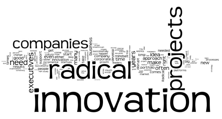 Should Every Company Pursue Radical Innovation?