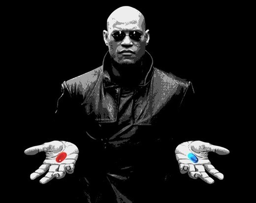 Fryse Børnehave Myre The blue pill or the red pill...?