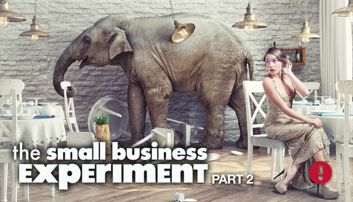 The Small Business Experiment, Part 2- The Law of Entropy 