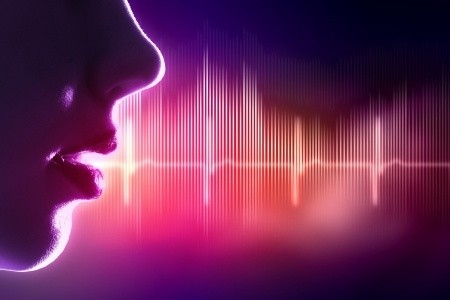 The VOICE Approach: 5 Ways to Ensure Your Voice is Heard The VOICE Approach: 5 Ways to Ensure Your Voice is Heard