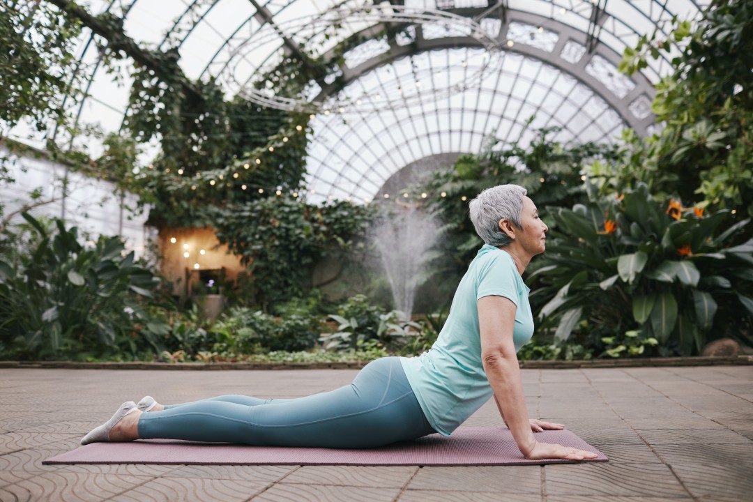 Benefits of Flexibility Exercises for Seniors: 12 Important Reasons