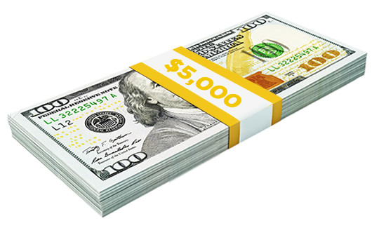 Do you need $5 000? Do you need $5 000?