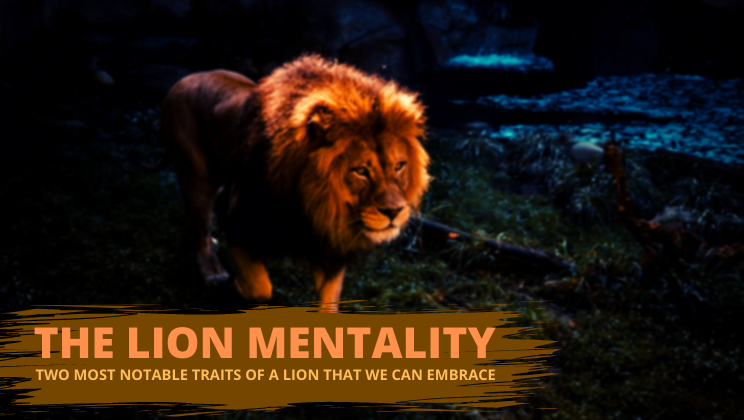 The Lion Mentality