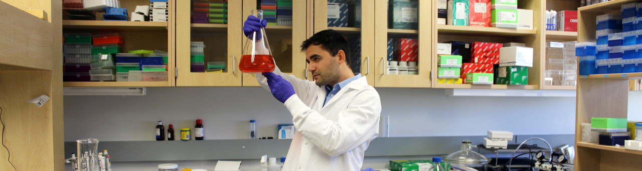Ph.D. Student Studies Effectors for Emerging Bacterial and Fungal Pathogens