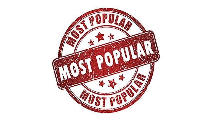 What Was Popular in 2019? What Was Popular in 2019?