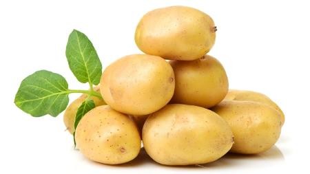 Batata ou Batata-inglesa (Solanum tuberosum); tipos e utilizações dos tubérculos comestíveis