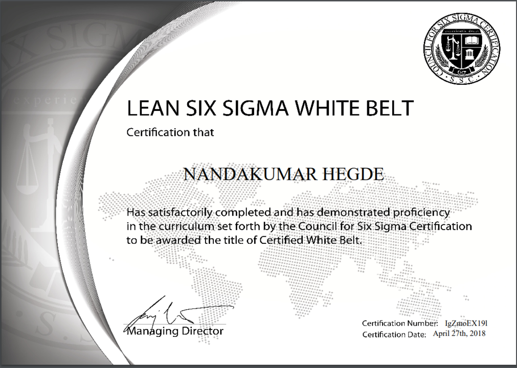 LEAN SIX SIGMA-Great excitement