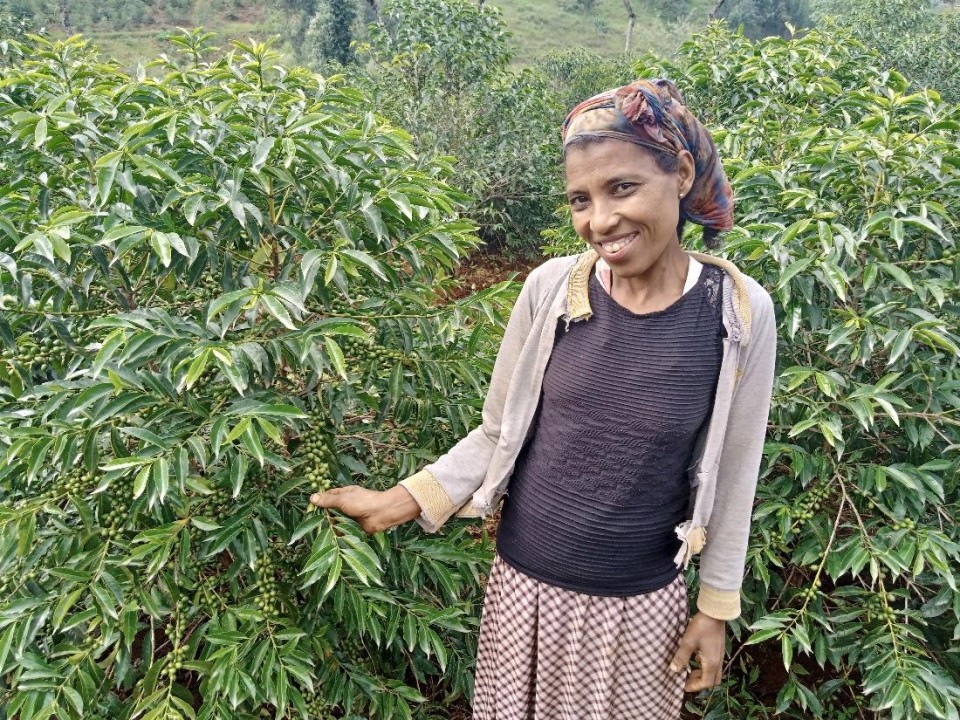 Understanding and Promoting Gender Equality in Coffee Farming