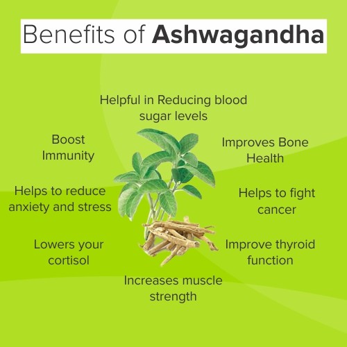 Overall, the health benefits of ashwagandha are backed by scientific research and have been recognized for centuries in traditional medicine. Whether you're looking to reduce stress, boost your immune system, or improve your mental and cognitive health, ashwagandha may be a natural and effective option to consider.