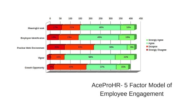 Introducing the 5 factor model of Employee Engagement