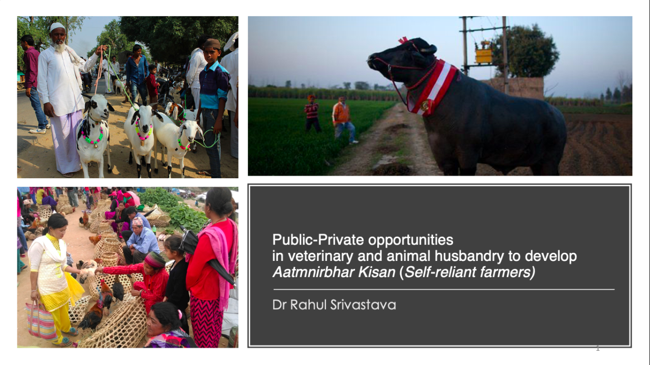 Public-private partnership opportunities in veterinary and Animal husbandry  domain