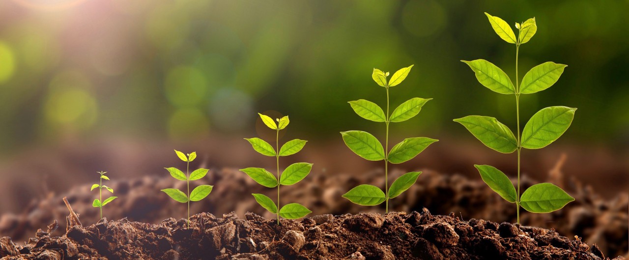 Getting to know what quot Growth quot really means Review Getting to know what quot Growth quot really means Review