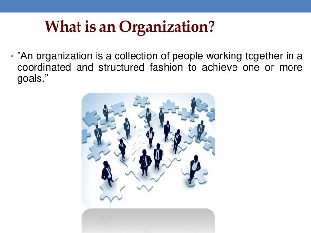 What is an Organization? What is an Organization?