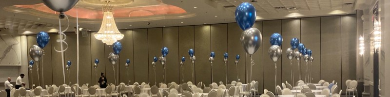 Schaduw Luipaard schattig Balo Balloons - Owner - Self-employed | LinkedIn
