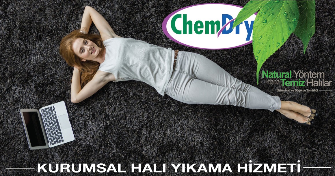 Chem Dry Linkedin