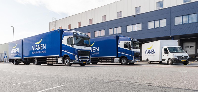 Vianen Flowerexport Bv Linkedin