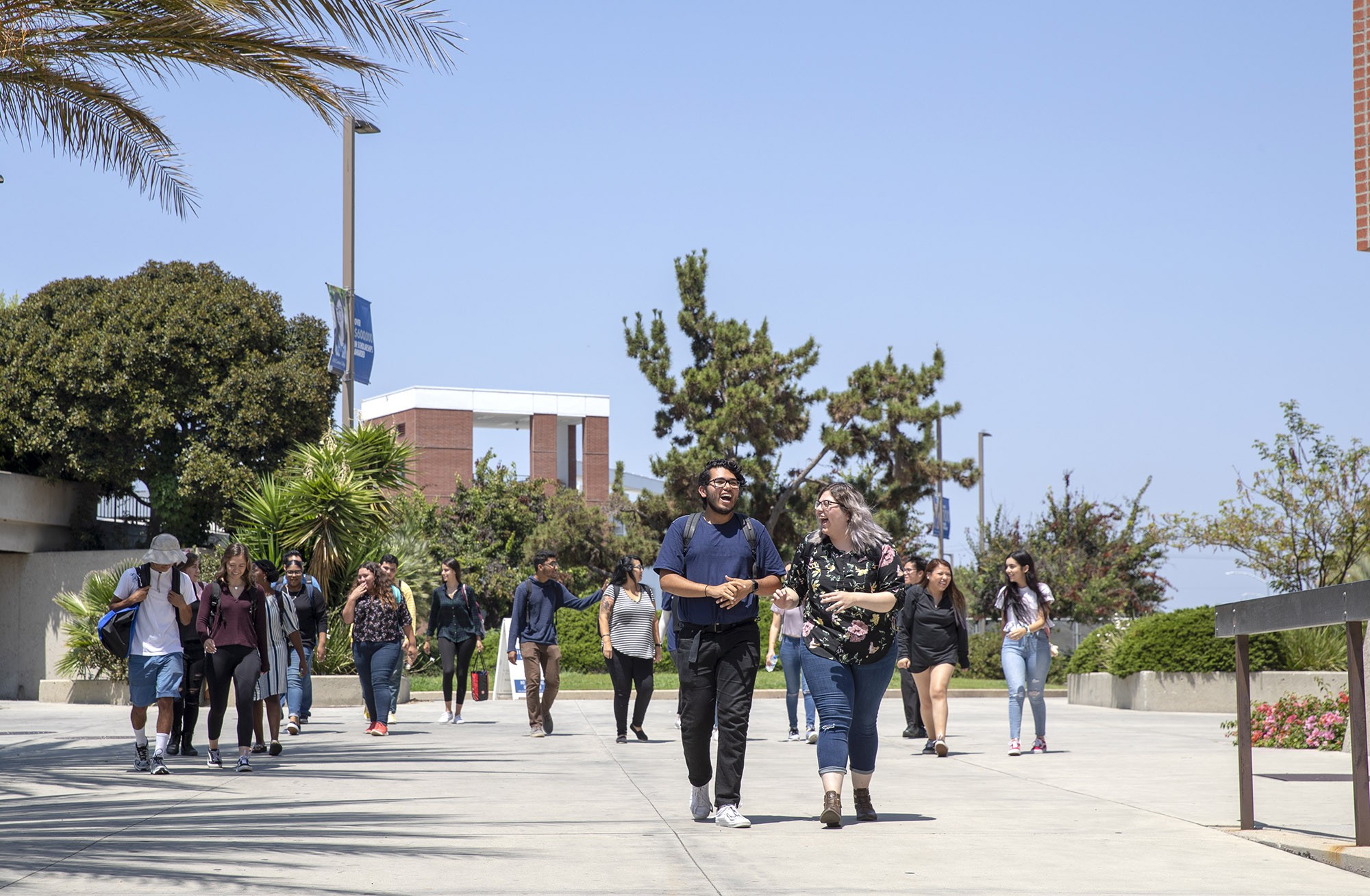El Camino College >> El Camino College Linkedin El Camino College >> El Camino College Linkedin