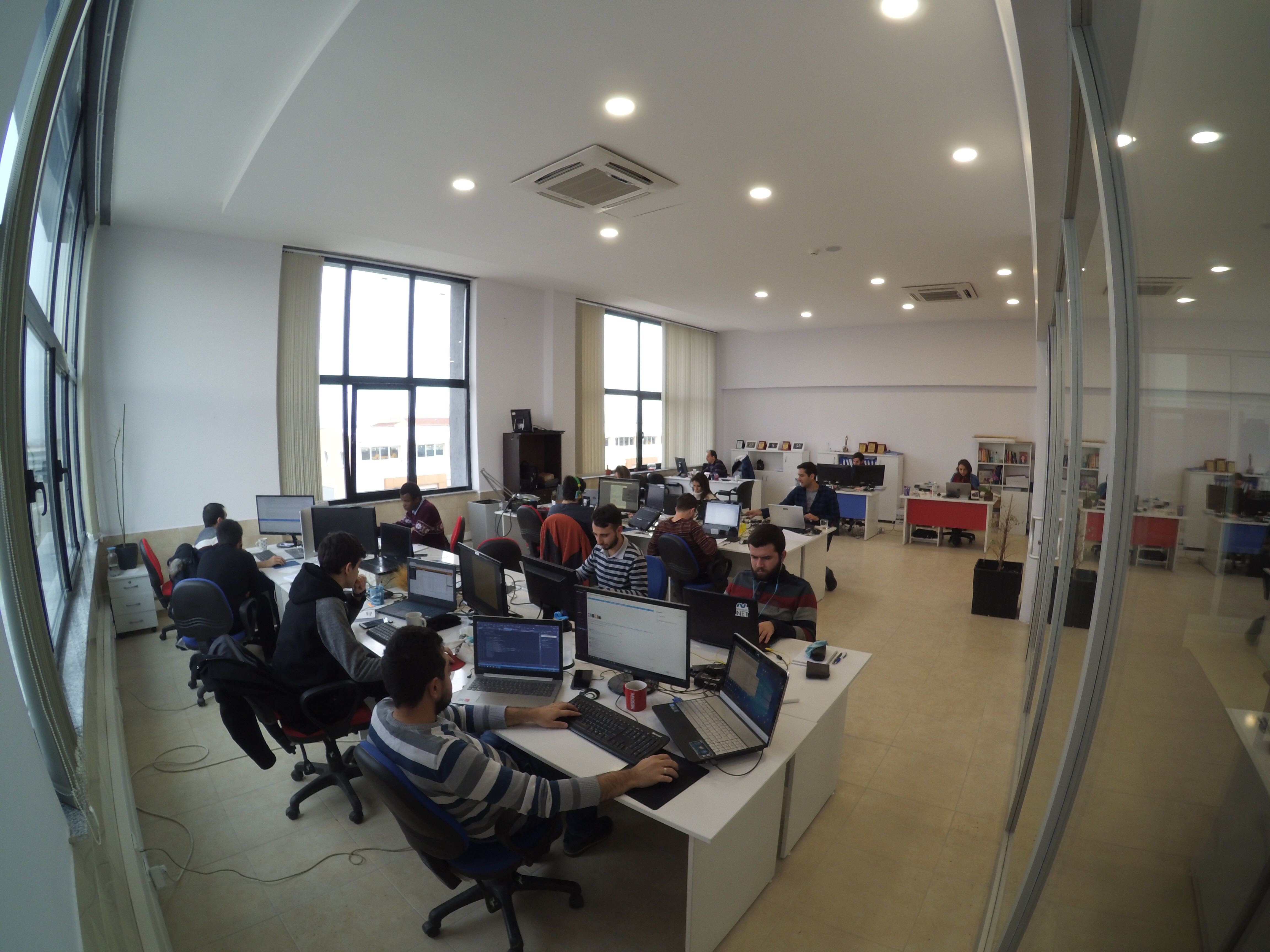 Piton R D And Software House Linkedin