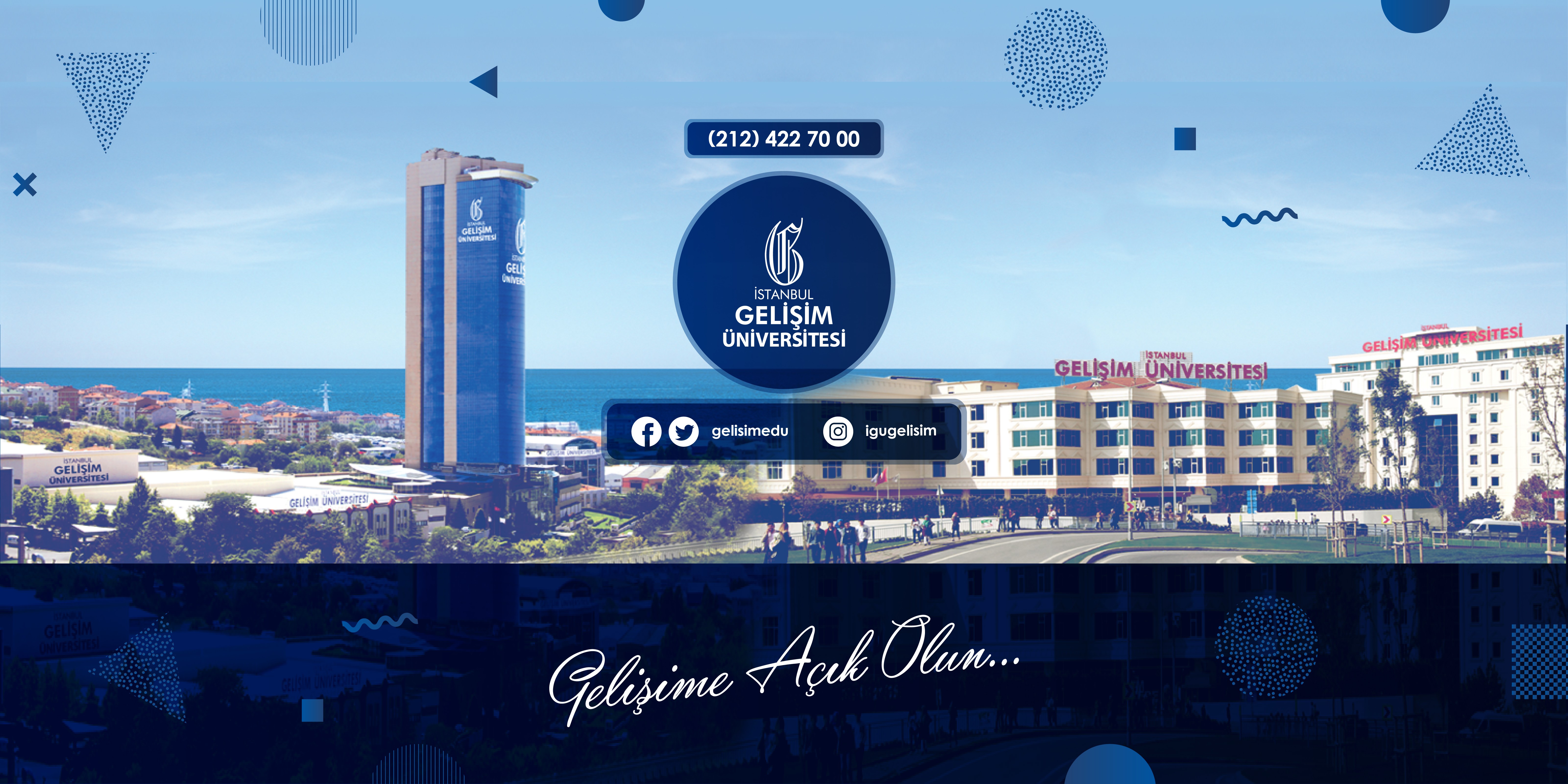 Istanbul Gelisim Universitesi Linkedin