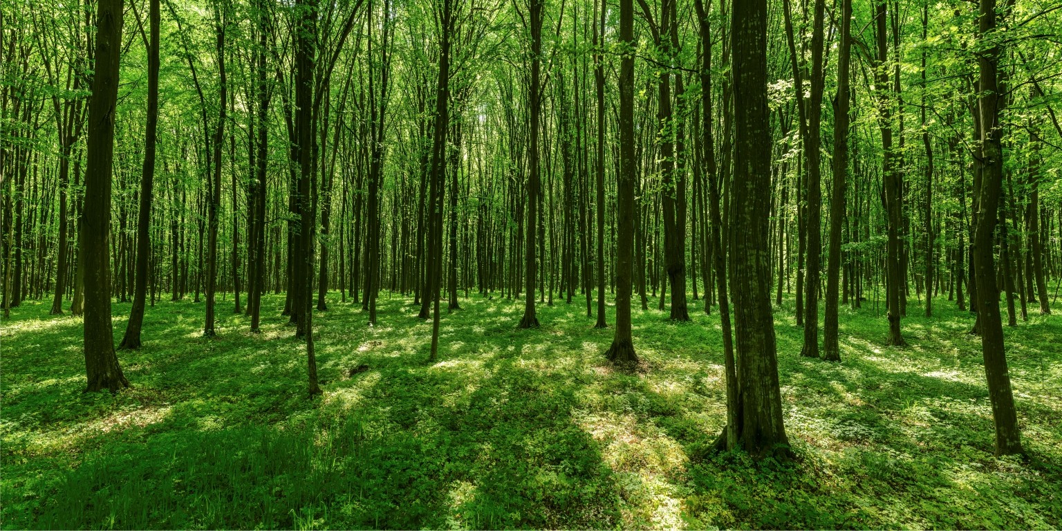 Oak Flooring Direct >> Oak Flooring Direct Limited Linkedin Oak Flooring Direct >> Oak Flooring Direct Limited Linkedin