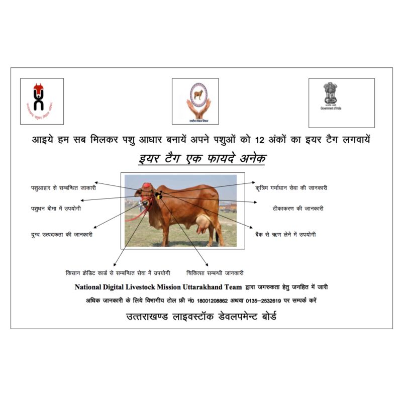 Animal Husbandry, Dairying and Fisheries Uttarakhand - Animal Husbandry  Department - Department Of Animal Husbandry, Dairying & Fisheries | LinkedIn