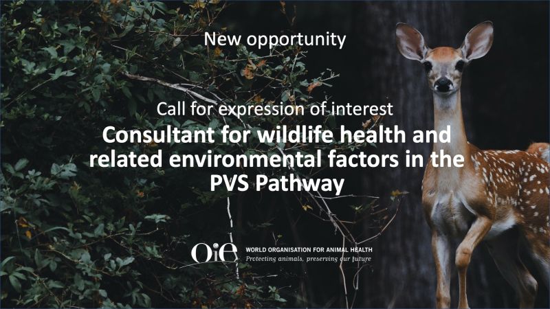 Maud Carron - Programme Manager - PVS Pathway and WHO IHR connections -  World Organisation for Animal Health (OIE) | LinkedIn