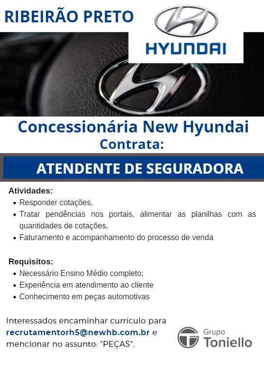 Vitor Reis - atendente de seguradora - New Hyundai - Ribeirao