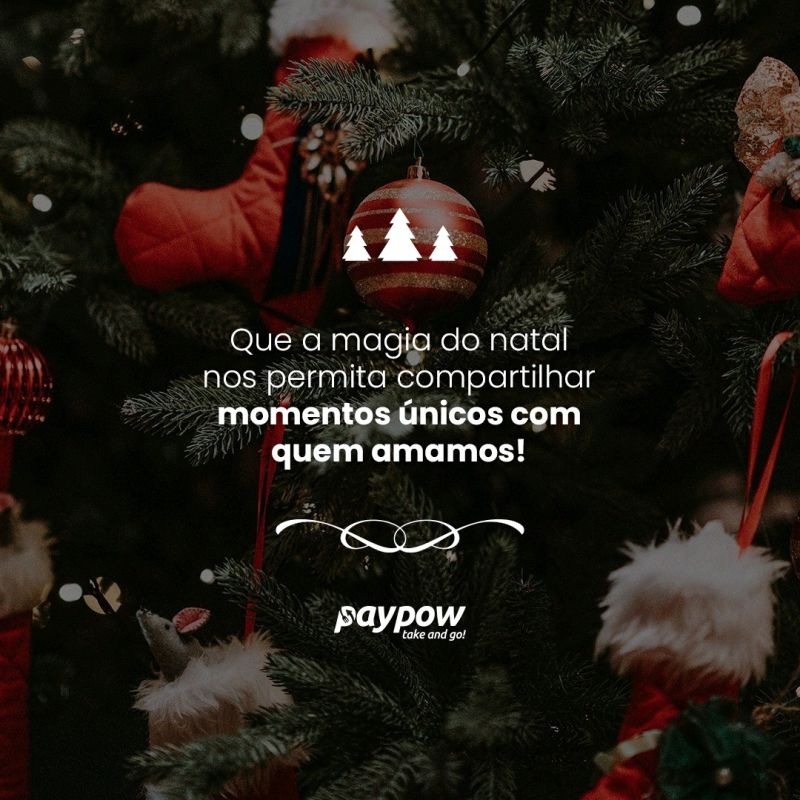PayPow Tecnologia para Pessoas - CEO - Paypow Tecnologia para pessoas |  LinkedIn
