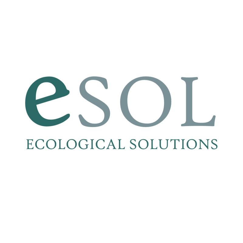 Angélica Muszinski - Pré vendedora - eSOL - Ecological Solutions | LinkedIn