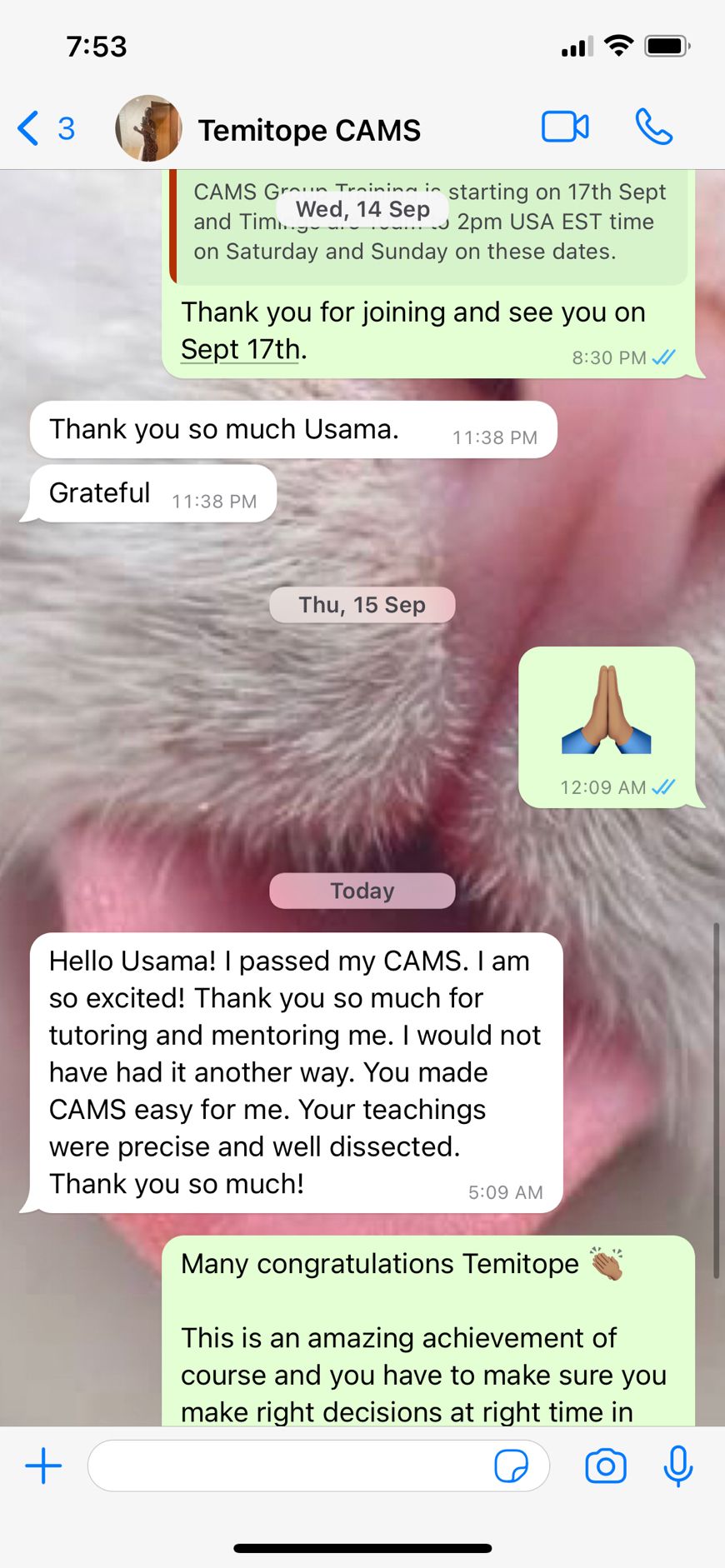 AML Base on LinkedIn: Temitope from USA joined my CAMS Group 16 in AML Base on LinkedIn: Temitope from USA joined my CAMS Group 16 in