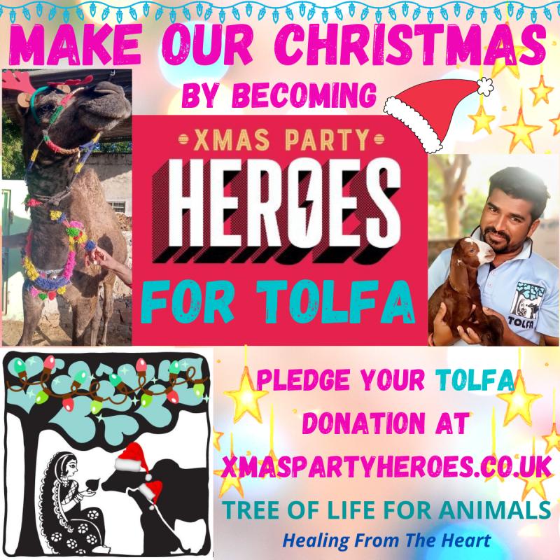 Paulette Hamilton - TOLFA UK Assistant - TOLFA Tree Of Life For Animals |  LinkedIn