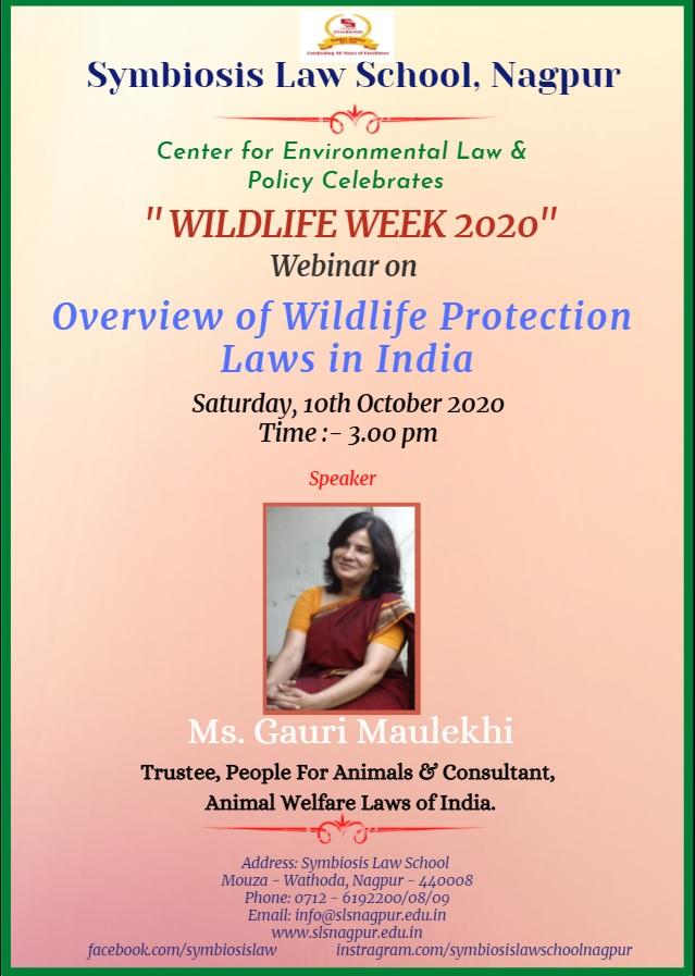 Gauri Maulekhi - Member Secretary - People for Animals Uttarakhand |  LinkedIn