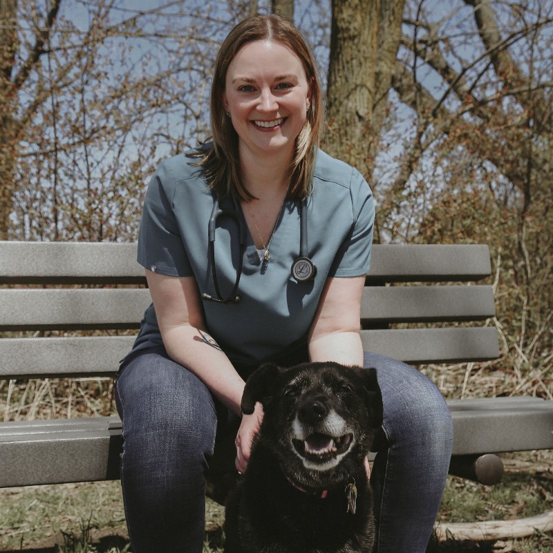 Lindsay Patterson - Veterinarian - Ajax Animal Hospital | LinkedIn