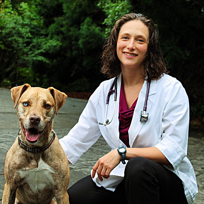 Hanie Elfenbein - Emergency Veterinarian - Animal Emergency & Specialty  Center of Chattanooga | LinkedIn